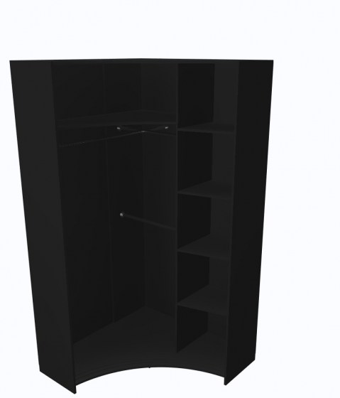 Радиусный шкаф-купе по индивидуальному проекту Чёрный