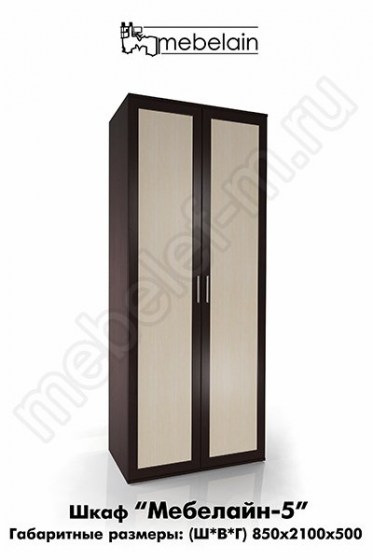 Распашной шкаф с двумя дверьми Мебелайн-5